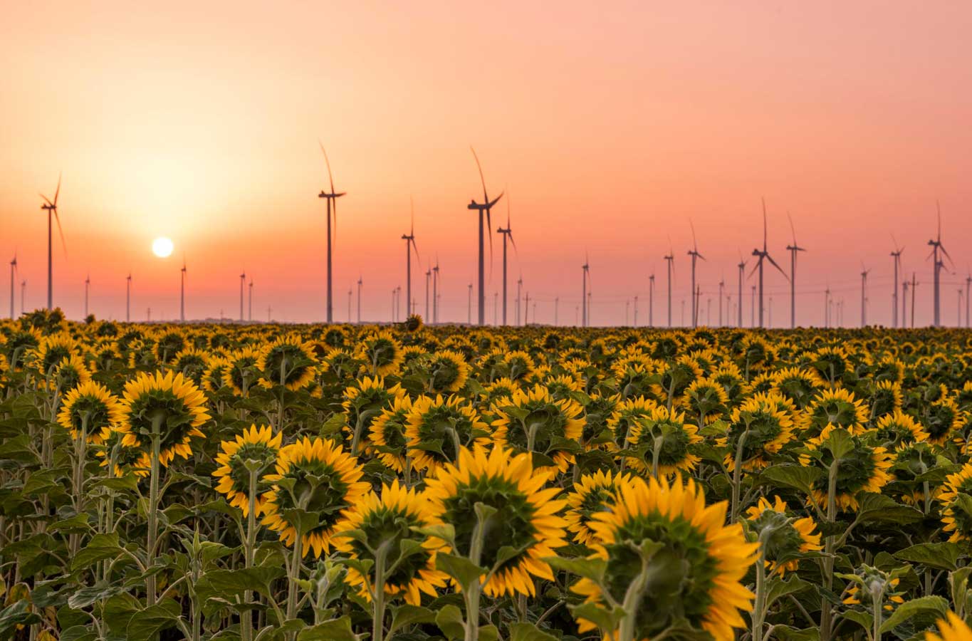 Cox’s Bazar 60 MW Wind Power Plant